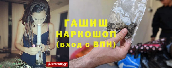 PSILOCYBIN Медвежьегорск