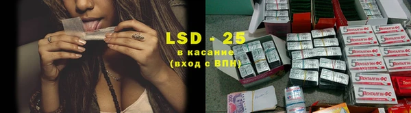 PSILOCYBIN Медвежьегорск