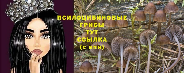 а пвп мука Мегион