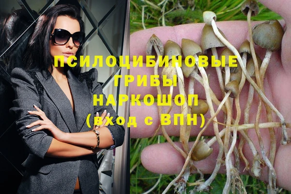 PSILOCYBIN Медвежьегорск