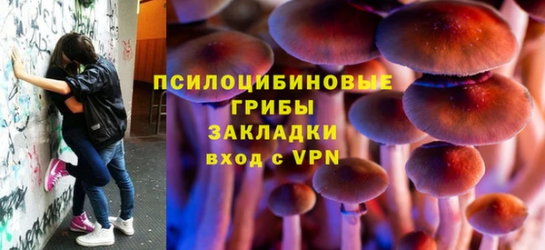 трава Медногорск