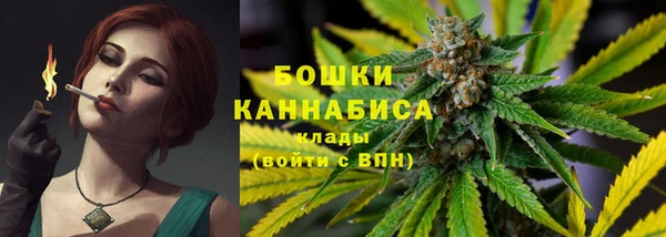 трава Медногорск