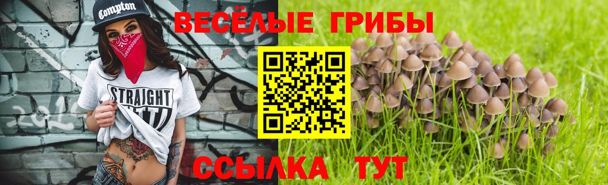 Псилоцибиновые грибы Cubensis Коряжма
