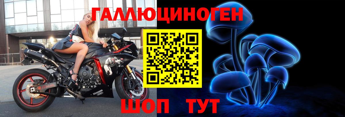 как найти   Галлюциногенные грибы Psilocybe  Вход с VPN  Коряжма  Псилоцибиновые грибы ЛСД 
